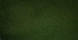 B Block Sector 2 Noida