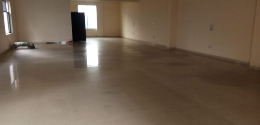 D block sector 2 noida