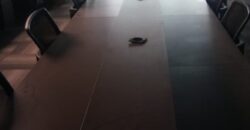 B Block Sector 2 Noida