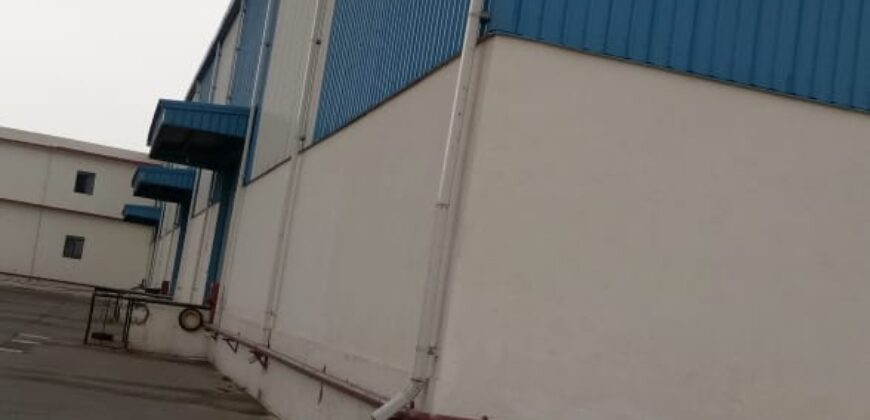 Warehouse In Tauru (Gurugram), Haryana