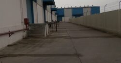 Warehouse In Tauru (Gurugram), Haryana