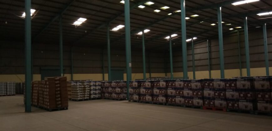 Warehouse In Tauru (Gurugram), Haryana