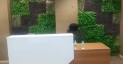 A-Block, Sector 136, Noida