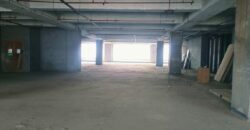 Silver Springs, Sector 126, Noida